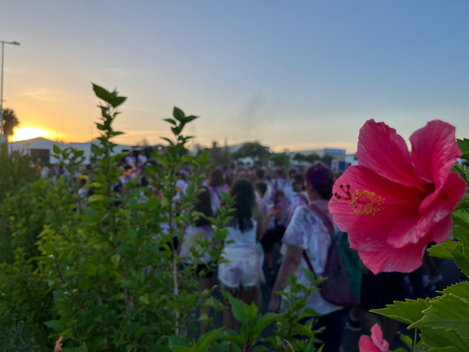 WhatsApp Image 2023-10-09 at 12.15.40