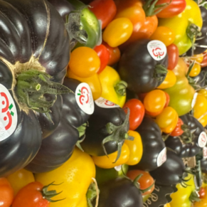 LAS CABEZAS DE SAN JUAN WEB (19)