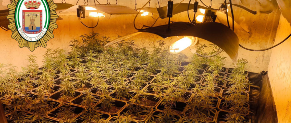 LAS CABEZAS DE SAN JUAN WEB (43)