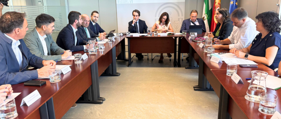 LAS CABEZAS DE SAN JUAN WEB (90)