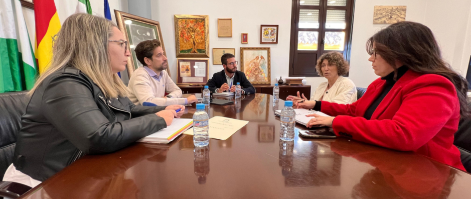 LAS CABEZAS DE SAN JUAN WEB