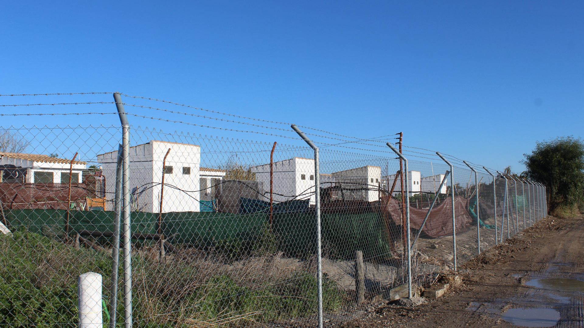 LAS CABEZAS DE SAN JUAN WEB(132)