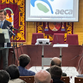 LAS CABEZAS DE SAN JUAN WEB(30)