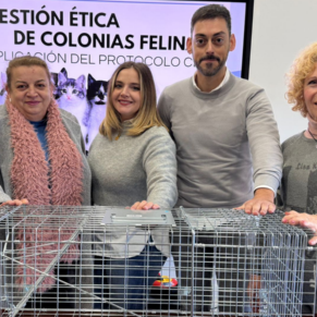 LAS CABEZAS DE SAN JUAN WEB(79)