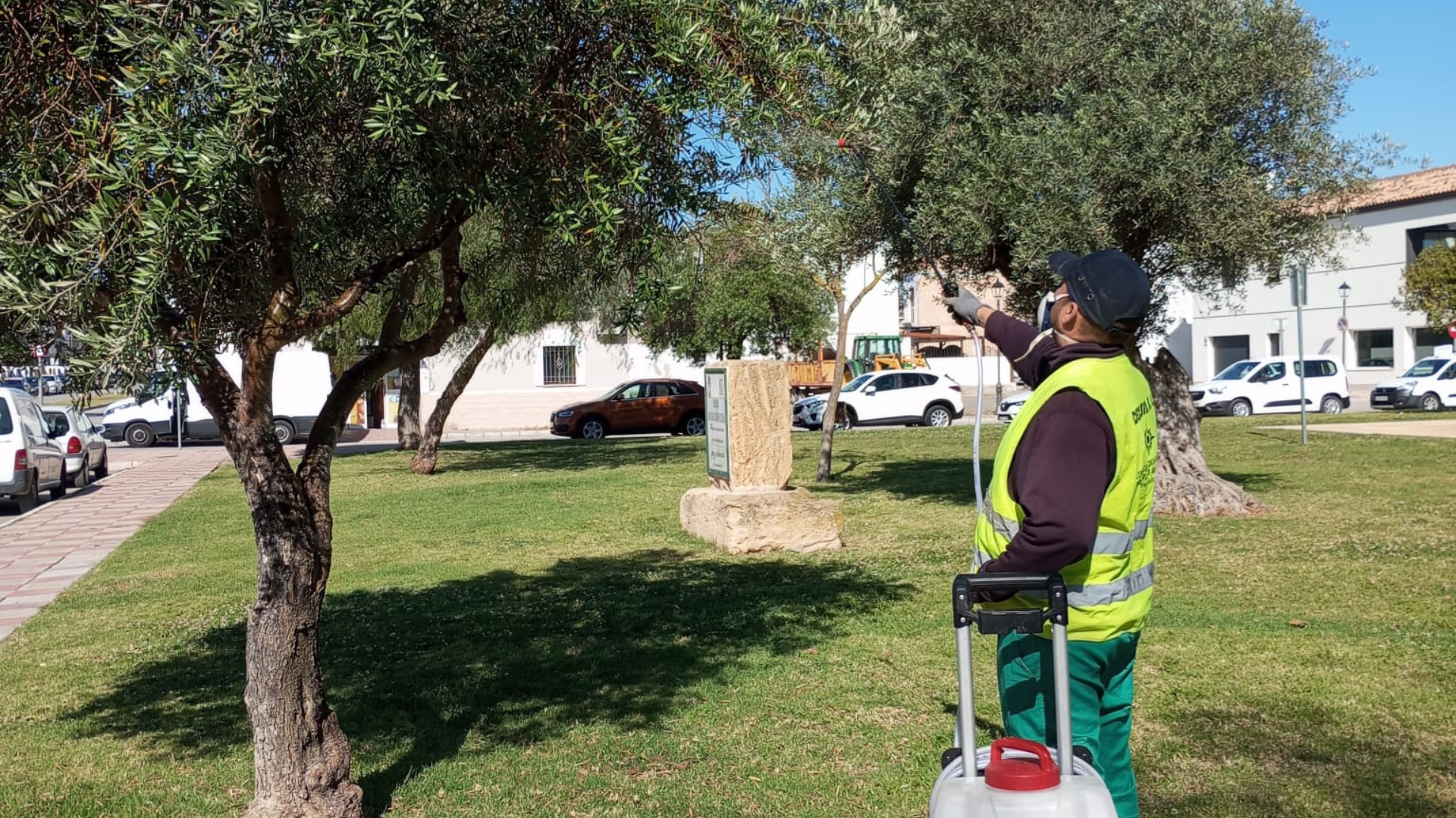 imagenes para web(49)